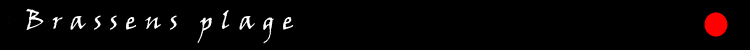 brassens deterrr&eacute;